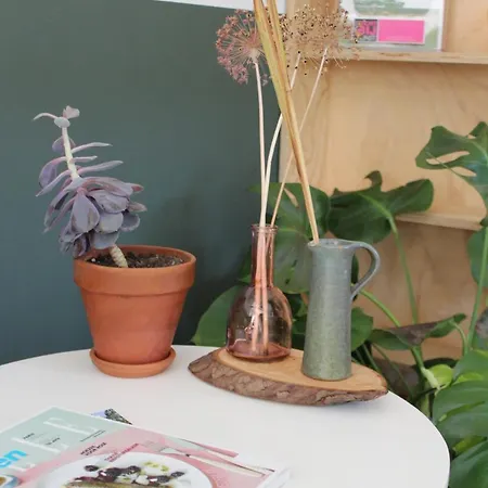 Het Aambeeld 3* Wanroij