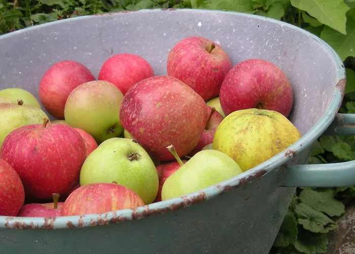 Bed and Breakfast Het Aambeeld