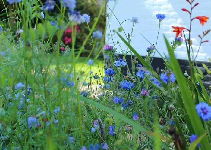 Bed and Breakfast Het Aambeeld