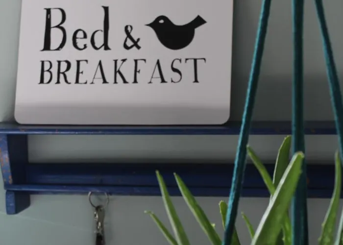 Bed and Breakfast Het Aambeeld