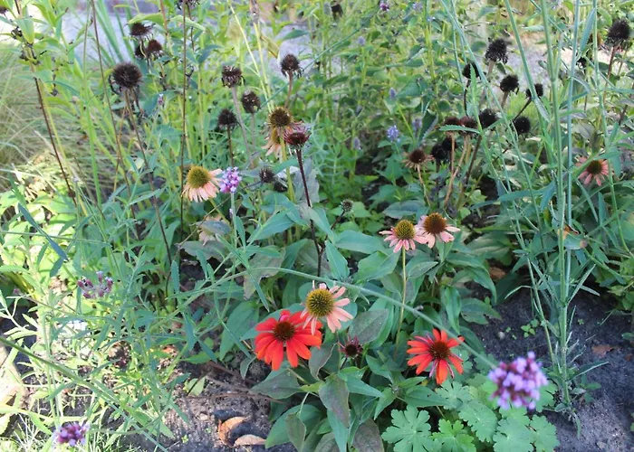 Het Aambeeld Bed and Breakfast 3*