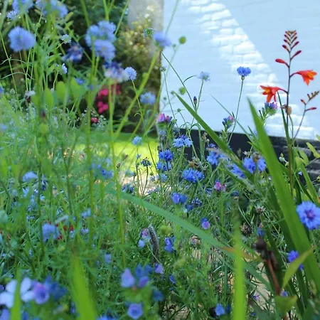 ベッド・アンド・ブレックファスト Het Aambeeld