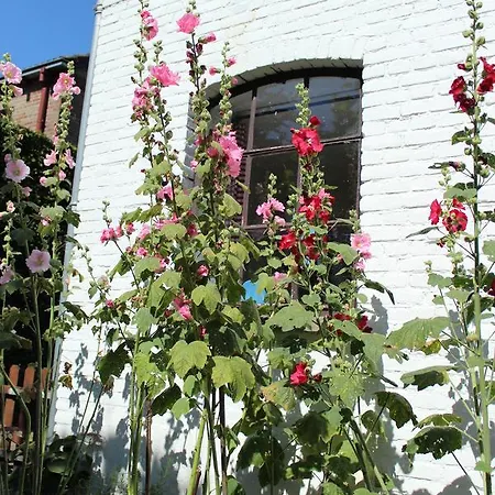 Het Aambeeld 3* Wanroij