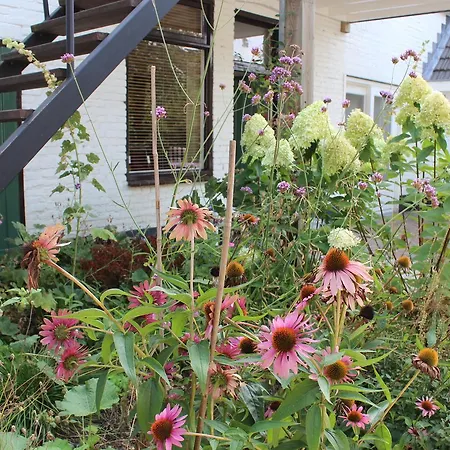 Het Aambeeld ベッド・アンド・ブレックファスト 3*