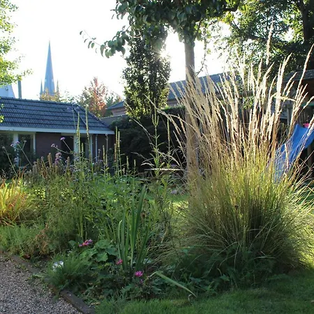 Het Aambeeld ベッド・アンド・ブレックファスト 3*