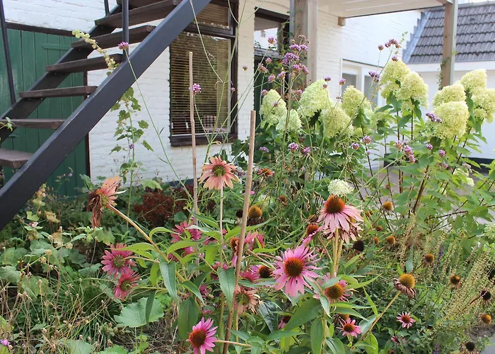 Het Aambeeld فندق مبيت وإفطار 3*