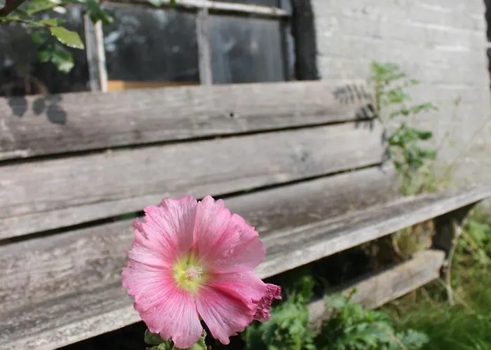 Het Aambeeld 3* Wanroij