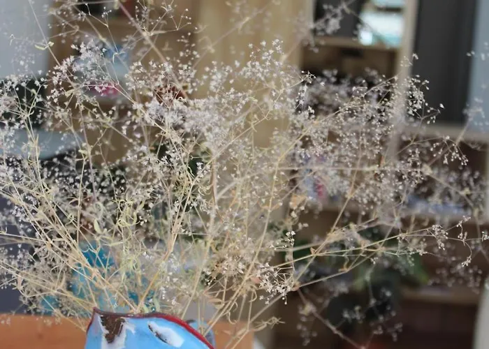 فندق مبيت وإفطار Het Aambeeld