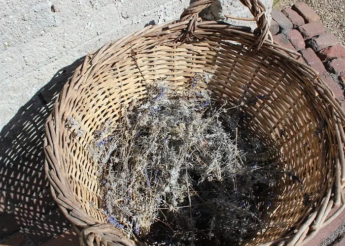 Het Aambeeld Wanroij