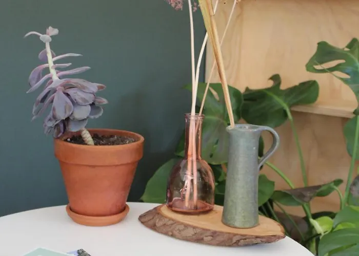 Het Aambeeld 3* Wanroij